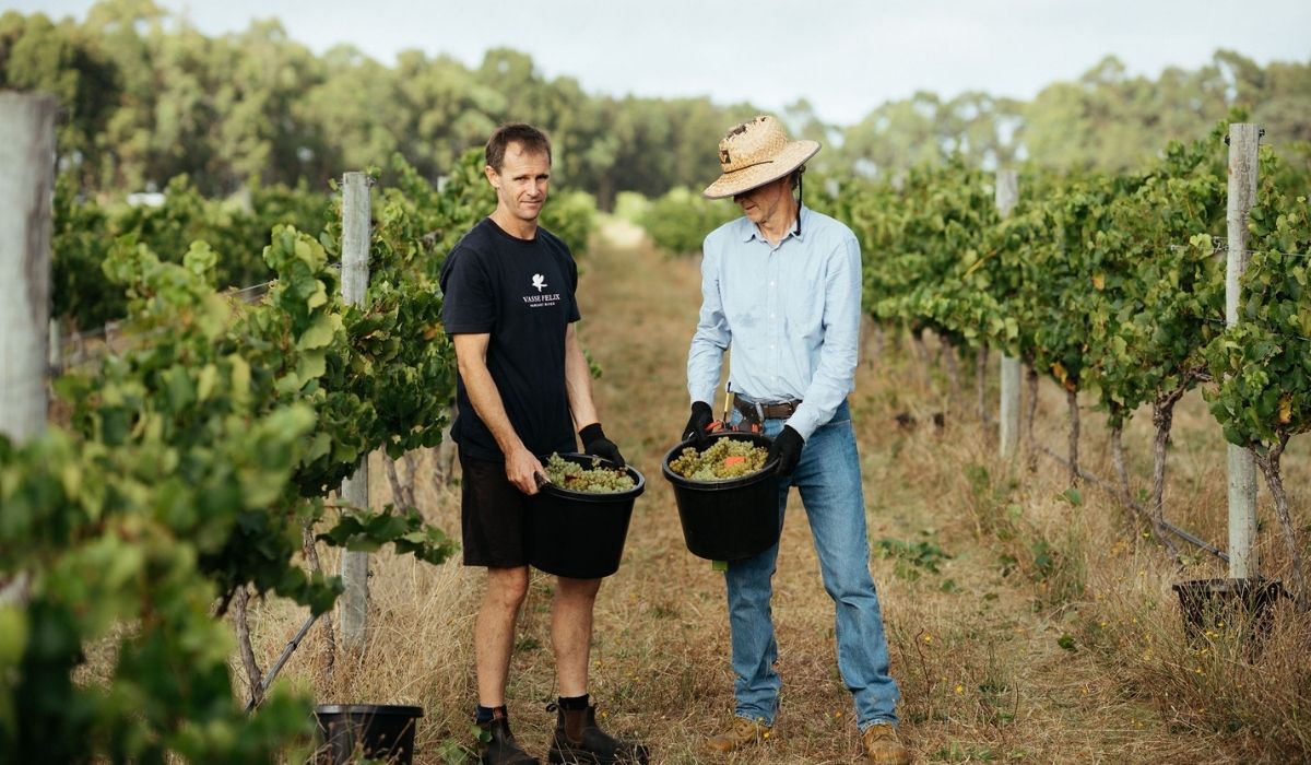 the 100 best wineries australia